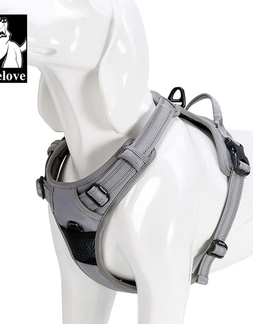 Load image into Gallery viewer, Adjustable No-Pull Dog Harness Reflective Pup Vest Harnesses Comfortable Control Brilliant Colors Truelove Tlh5651(Gray,L)
