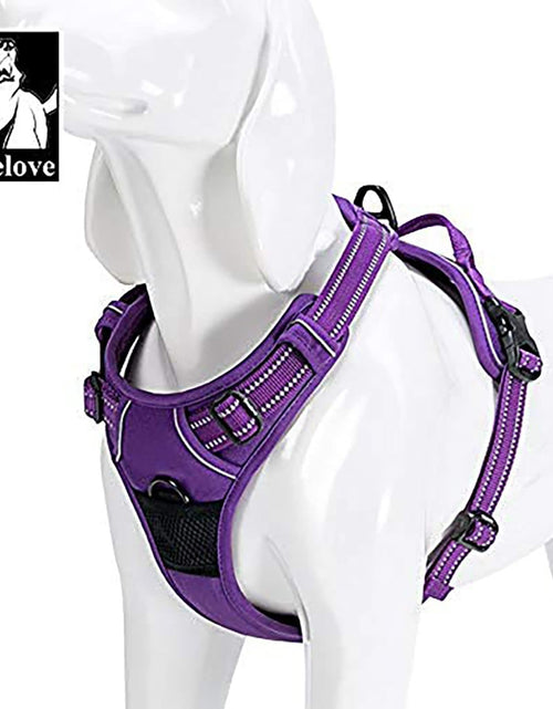 Load image into Gallery viewer, Truelove Adjustable No-Pull Dog Harness Reflective Pup Vest Harnesses Comfortable Control Brilliant Colors Tlh5651(Purple,S)
