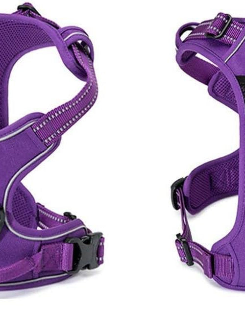 Load image into Gallery viewer, Truelove Adjustable No-Pull Dog Harness Reflective Pup Vest Harnesses Comfortable Control Brilliant Colors Tlh5651(Purple,S)
