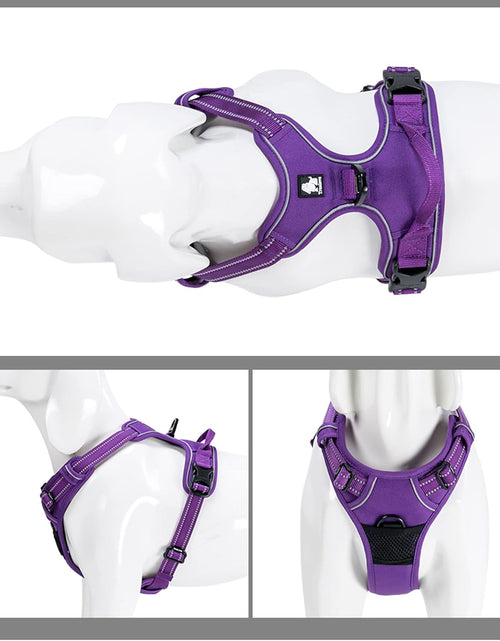 Load image into Gallery viewer, Truelove Adjustable No-Pull Dog Harness Reflective Pup Vest Harnesses Comfortable Control Brilliant Colors Tlh5651(Purple,S)
